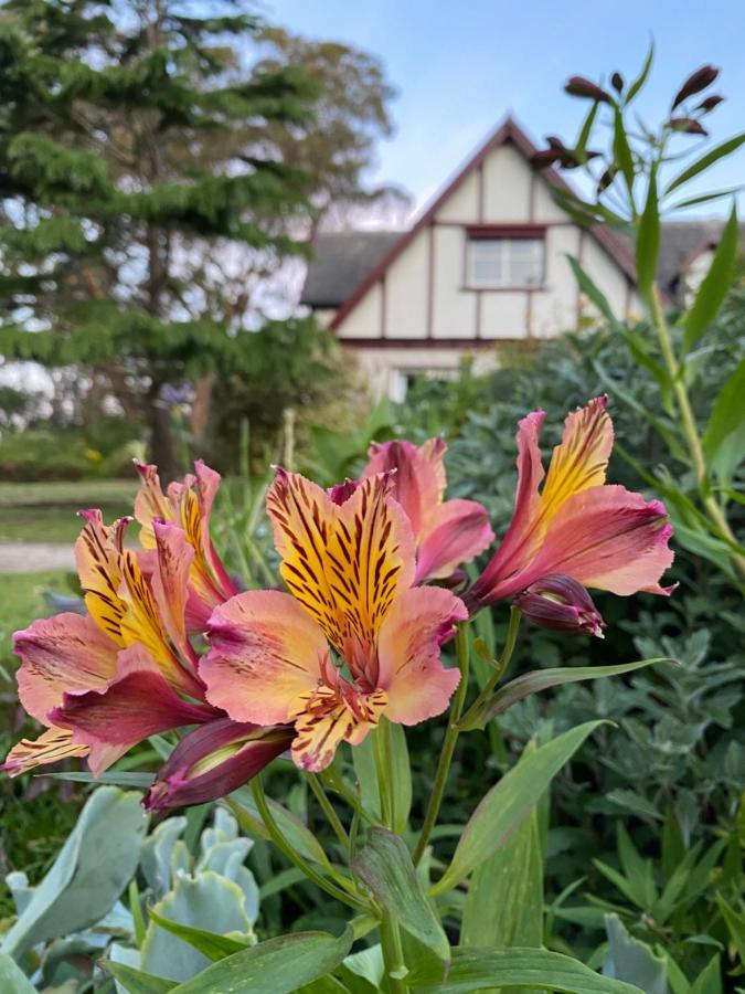 Swan Cove Beachfront Raymond Island エクステリア 写真