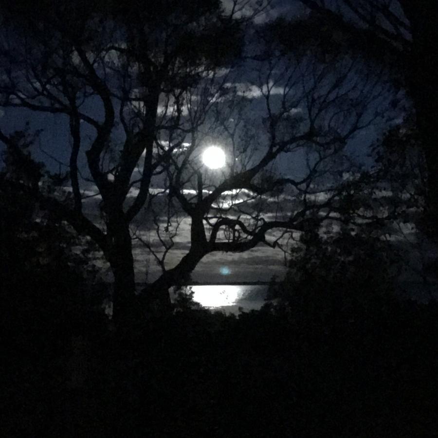 Swan Cove Beachfront Raymond Island エクステリア 写真